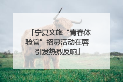 宁夏文旅“青春体验官”招募活动在蓉引发热烈反响